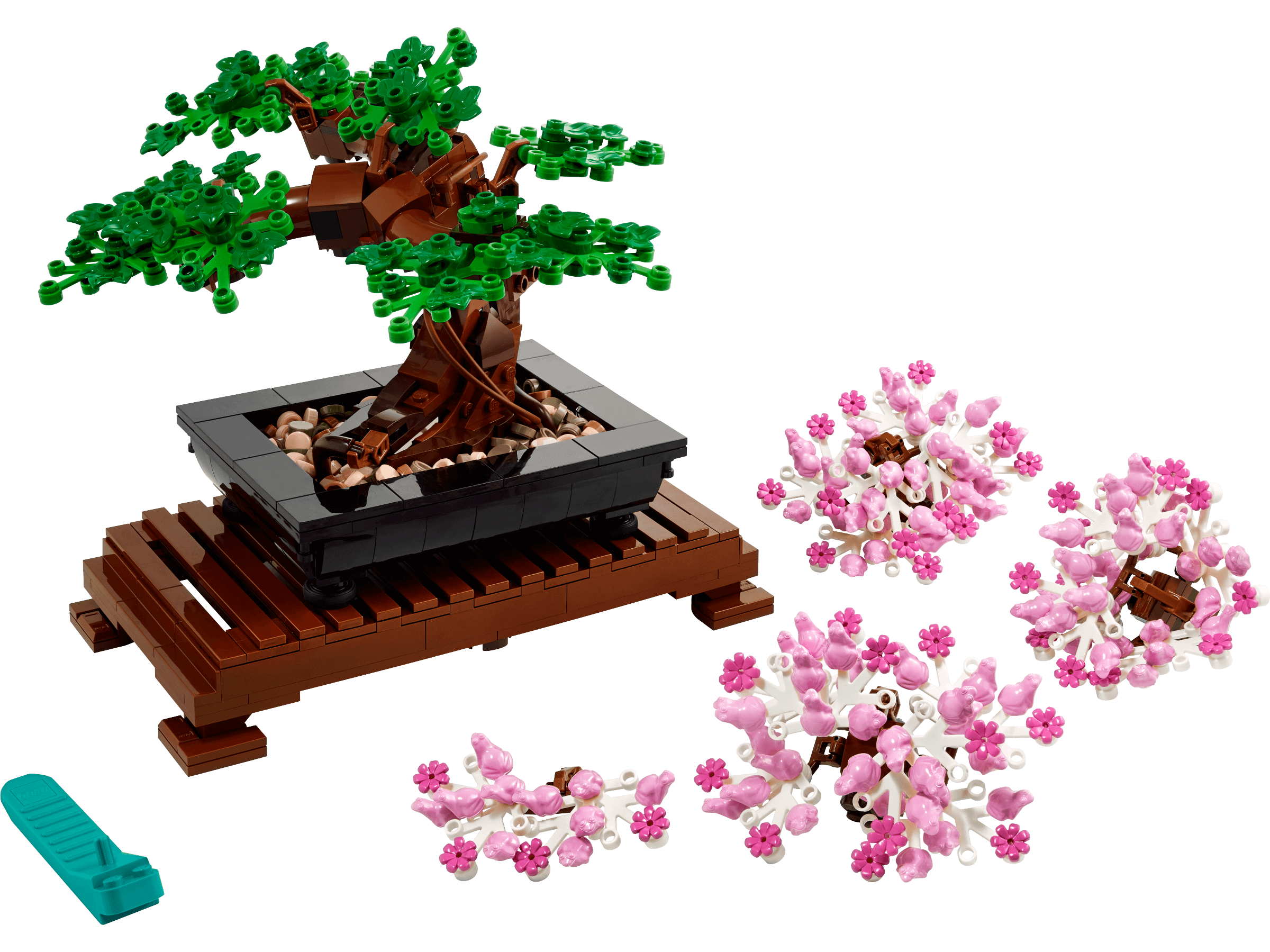 Drzewko bonsai