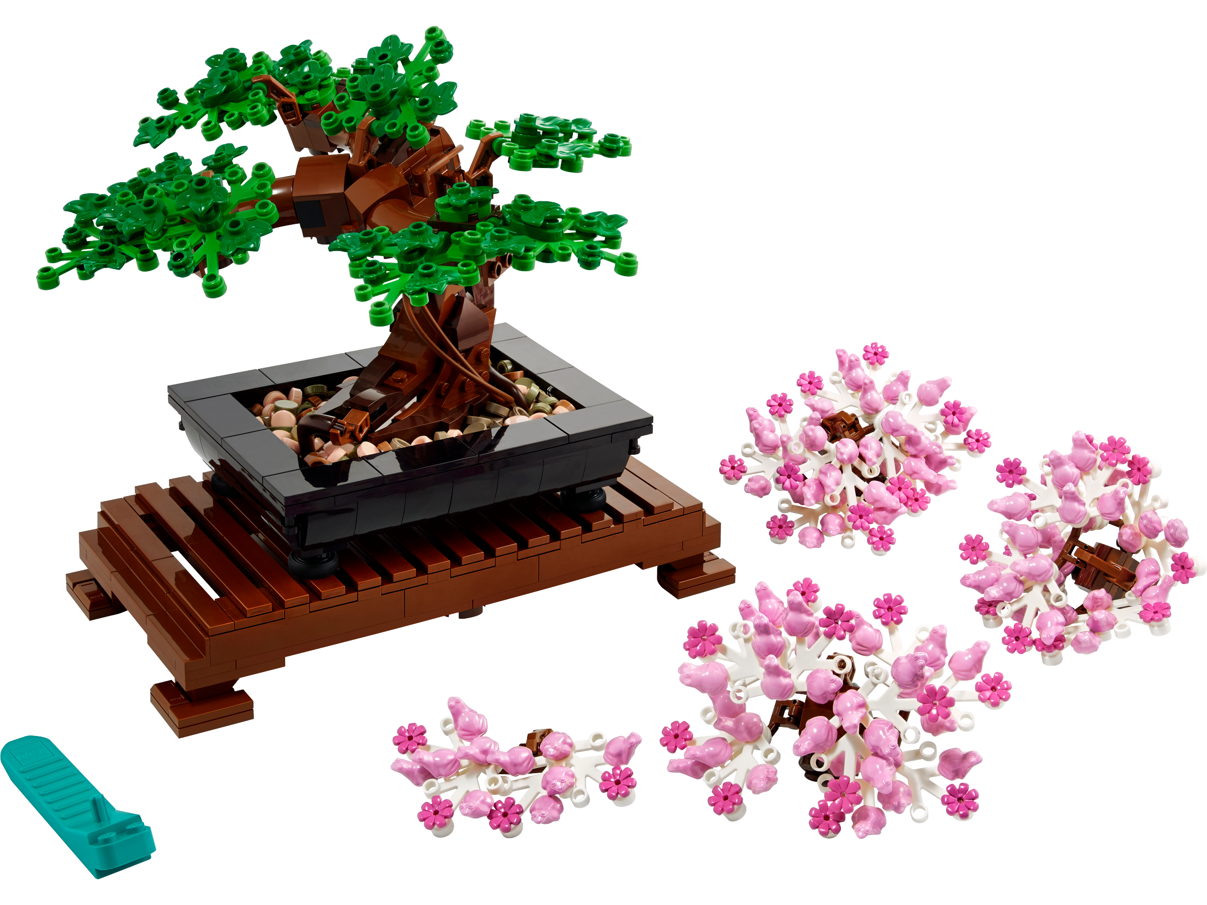 Drzewko bonsai