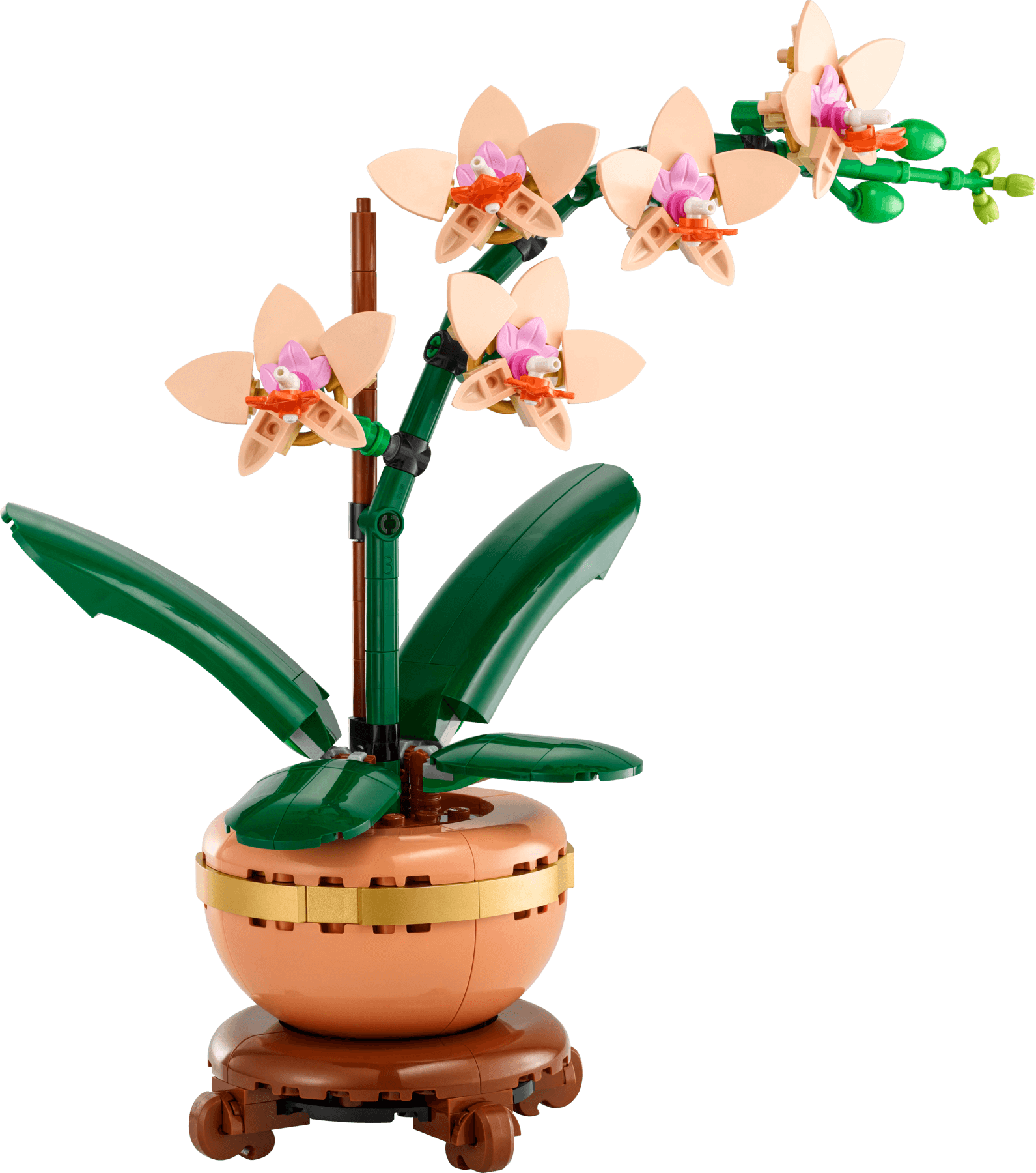 Mała orchidea