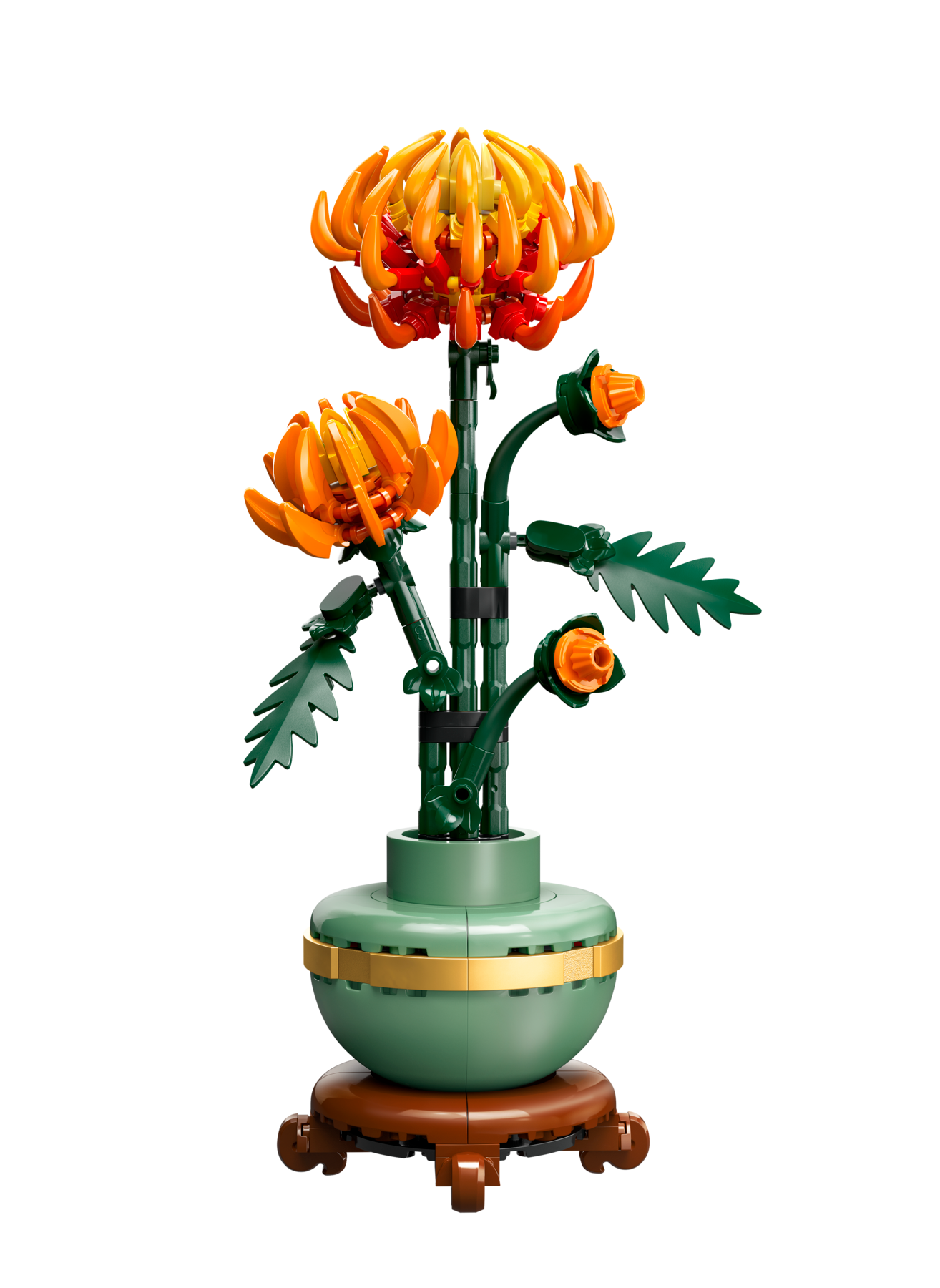 Chryzantema