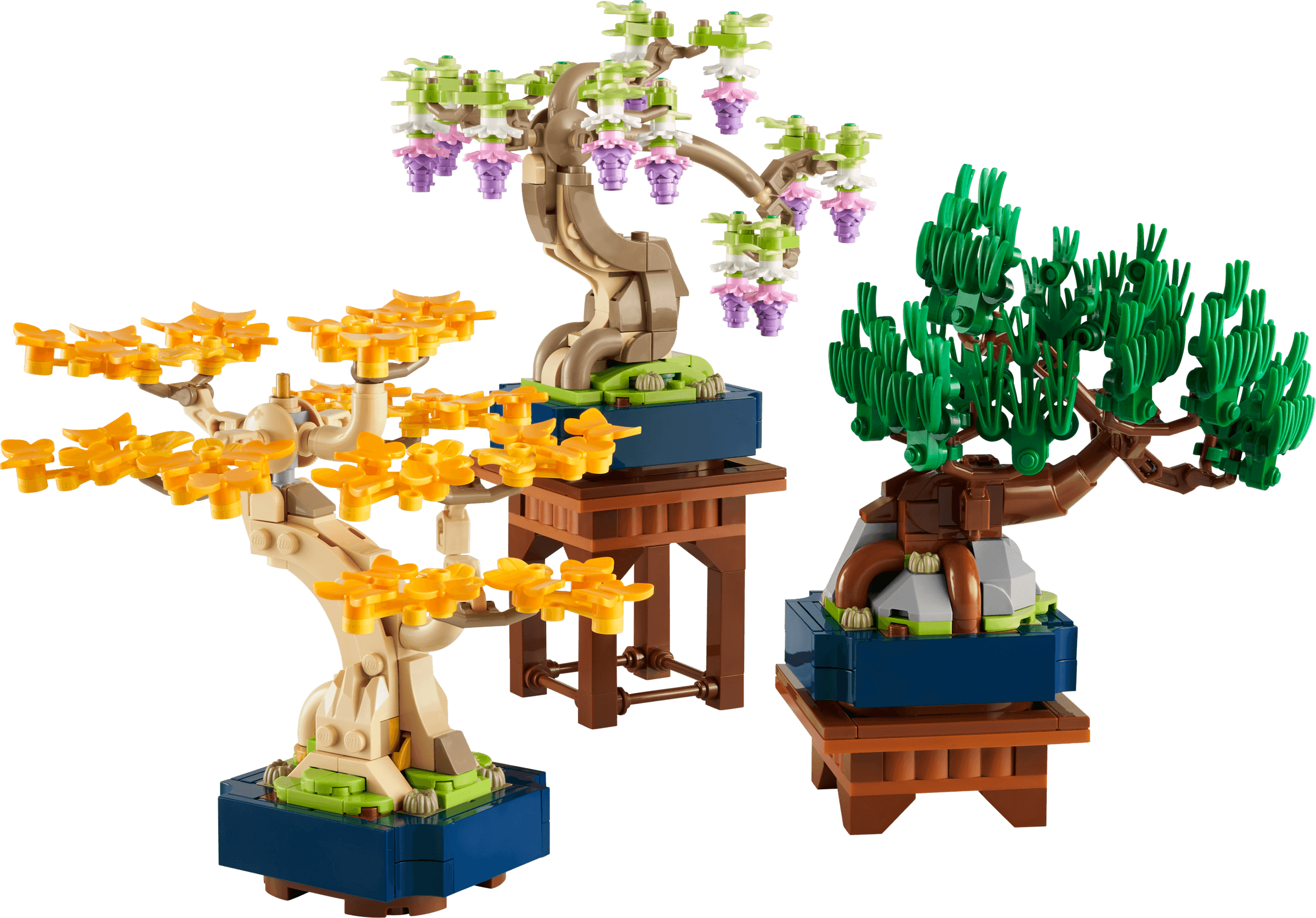 Małe drzewka bonsai