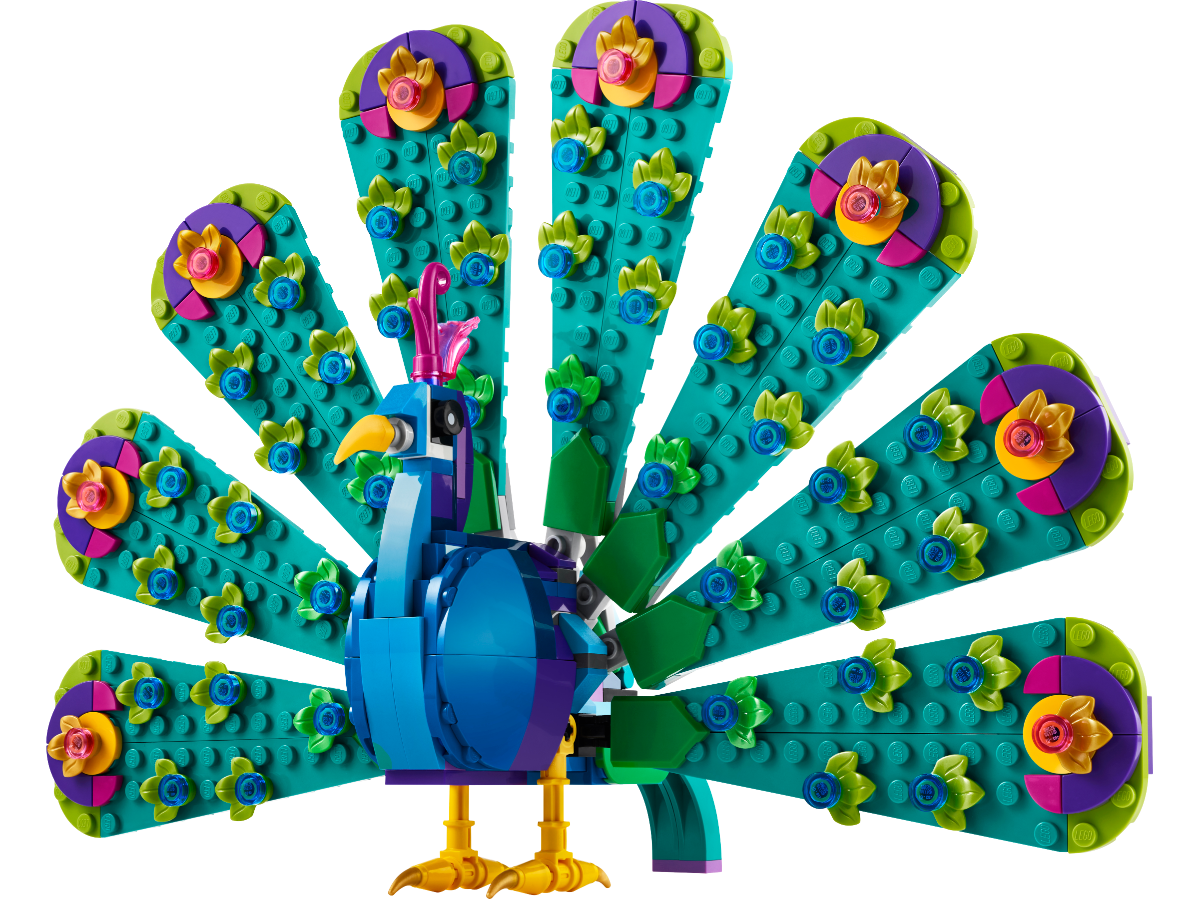 Egzotyczny paw