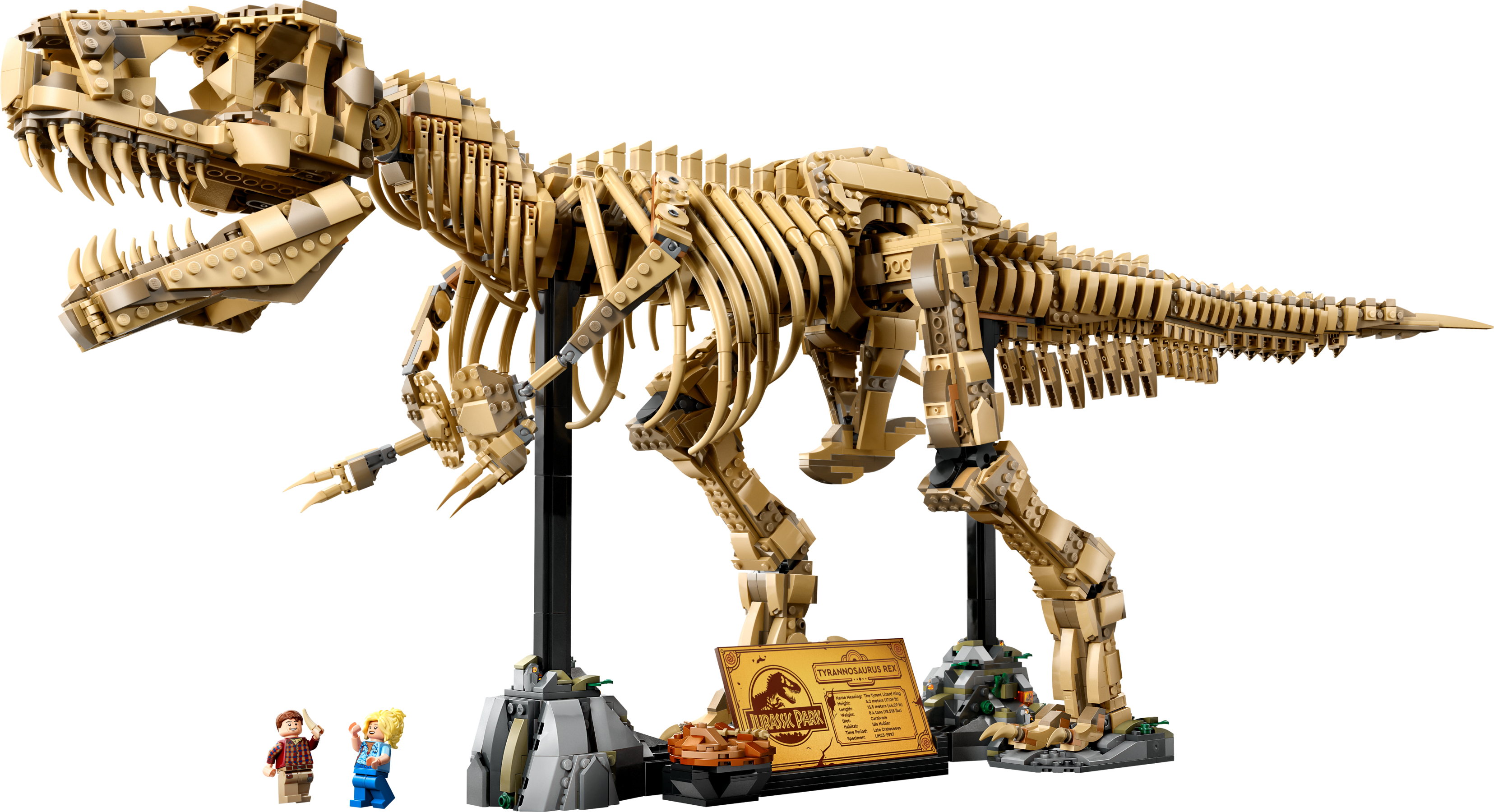 Szkielety dinozaurów: tyranozaur